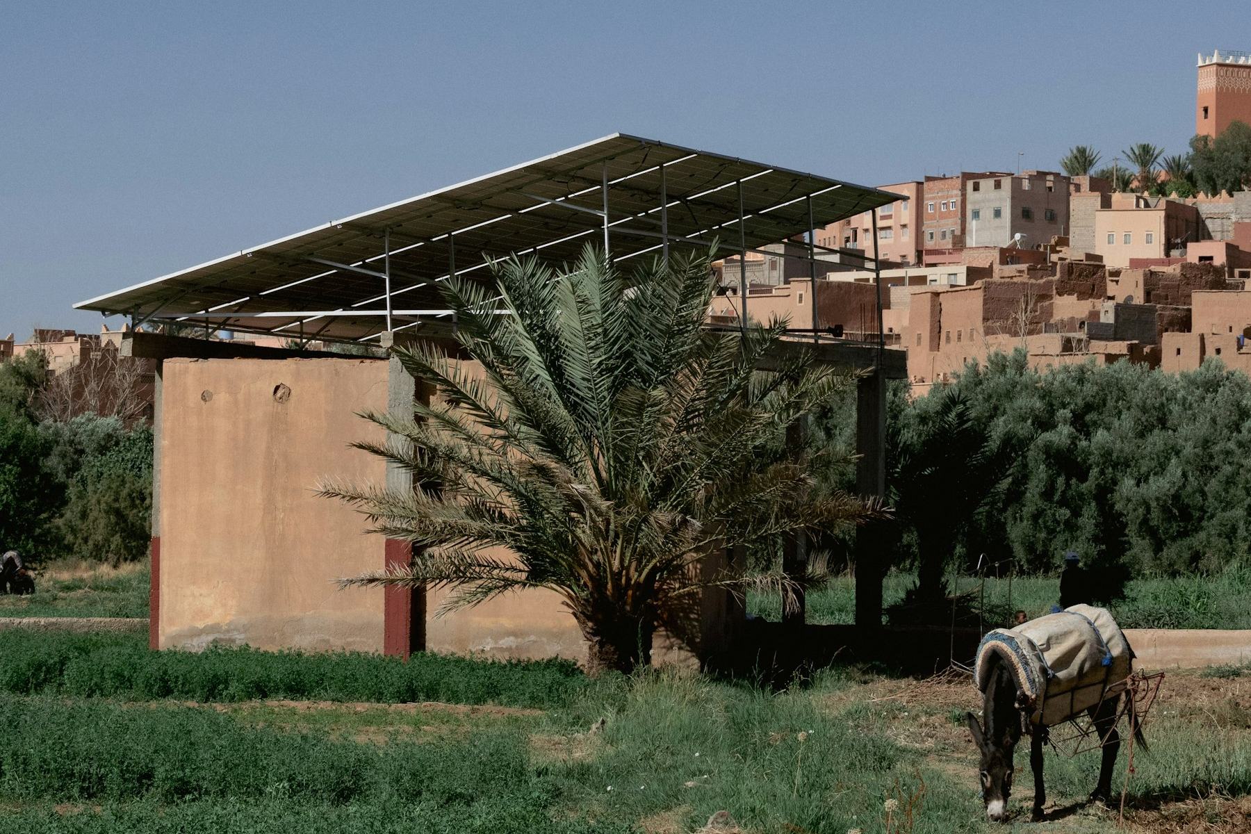 Solar panels on a raised frame over a small building in farmland near Marrakesh